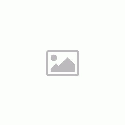 Mitas Stop Thorn Smart (APS) 42-622 700x40C V66 Flash kerékpár gumi